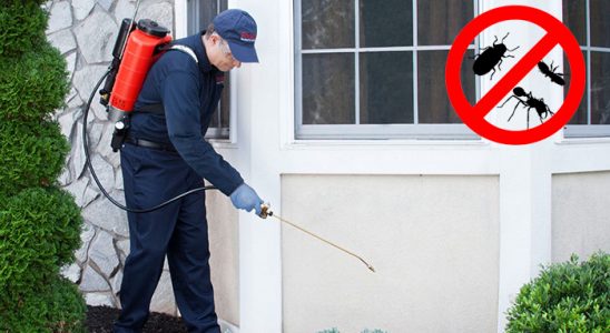 Keşap Tahtakurusu İlaçlama böcek ilaçlama ve haşere kontrolü — ilaclama-tr.com